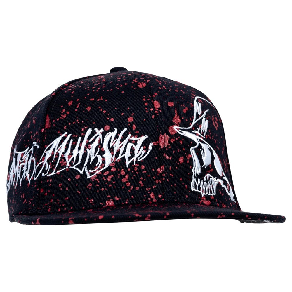 Dark Path Flexsnap Hat